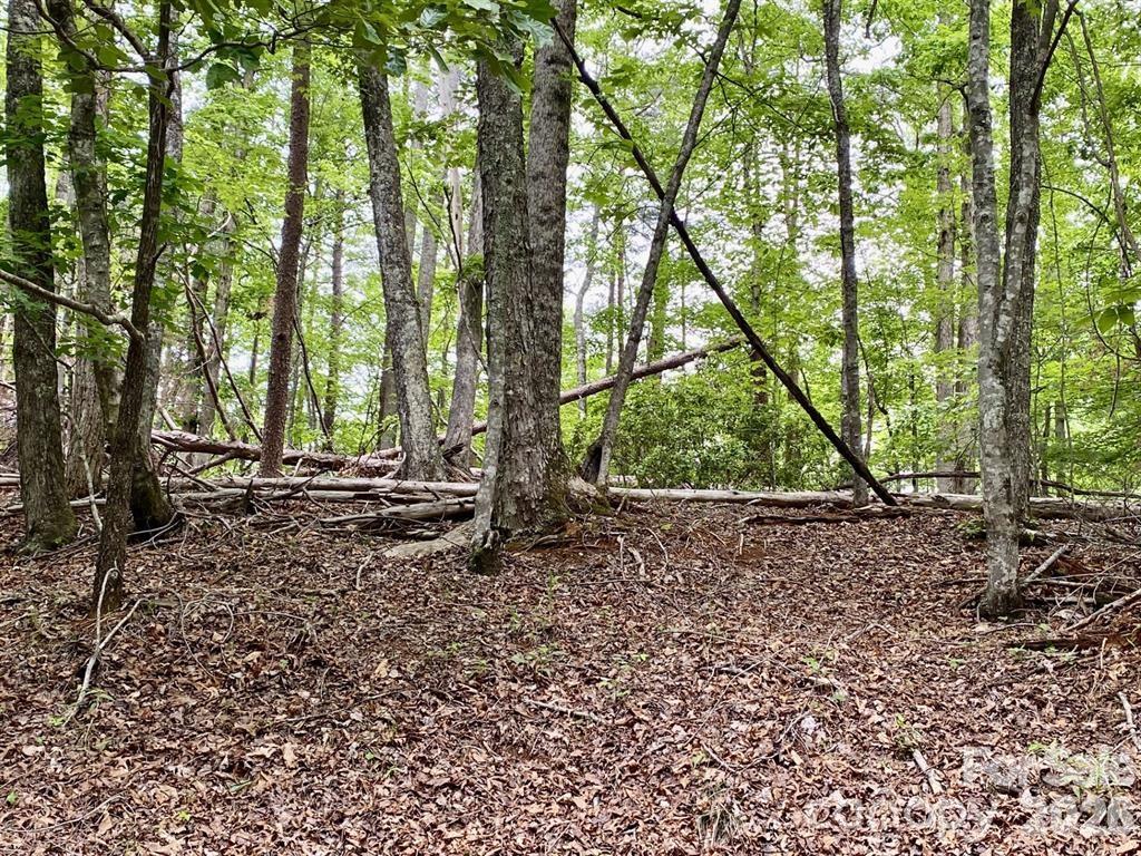 Lot 30 Granny Smith Lane