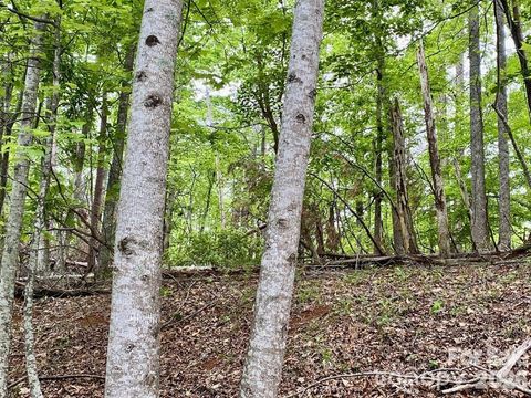 Lot 30 Granny Smith Lane Lake Lure NC 28746