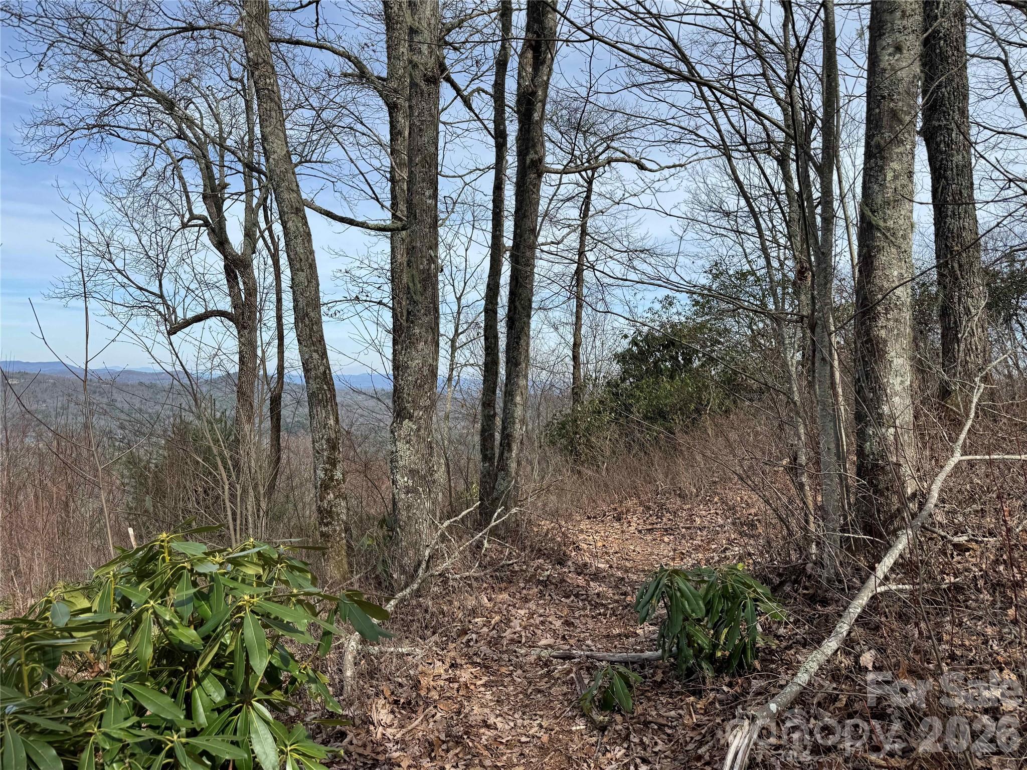 L3 Windy Gap Lane