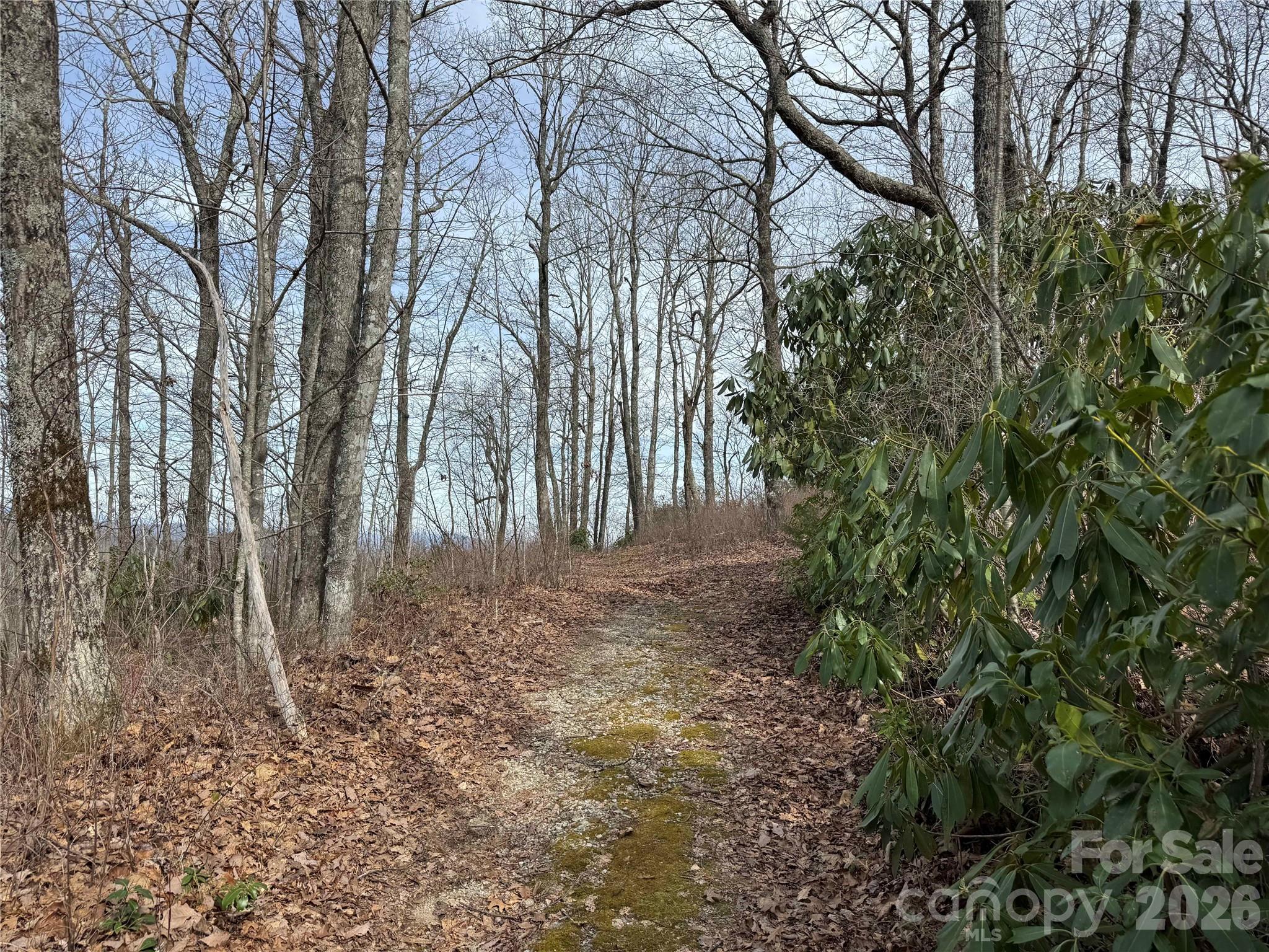 L3 Windy Gap Lane