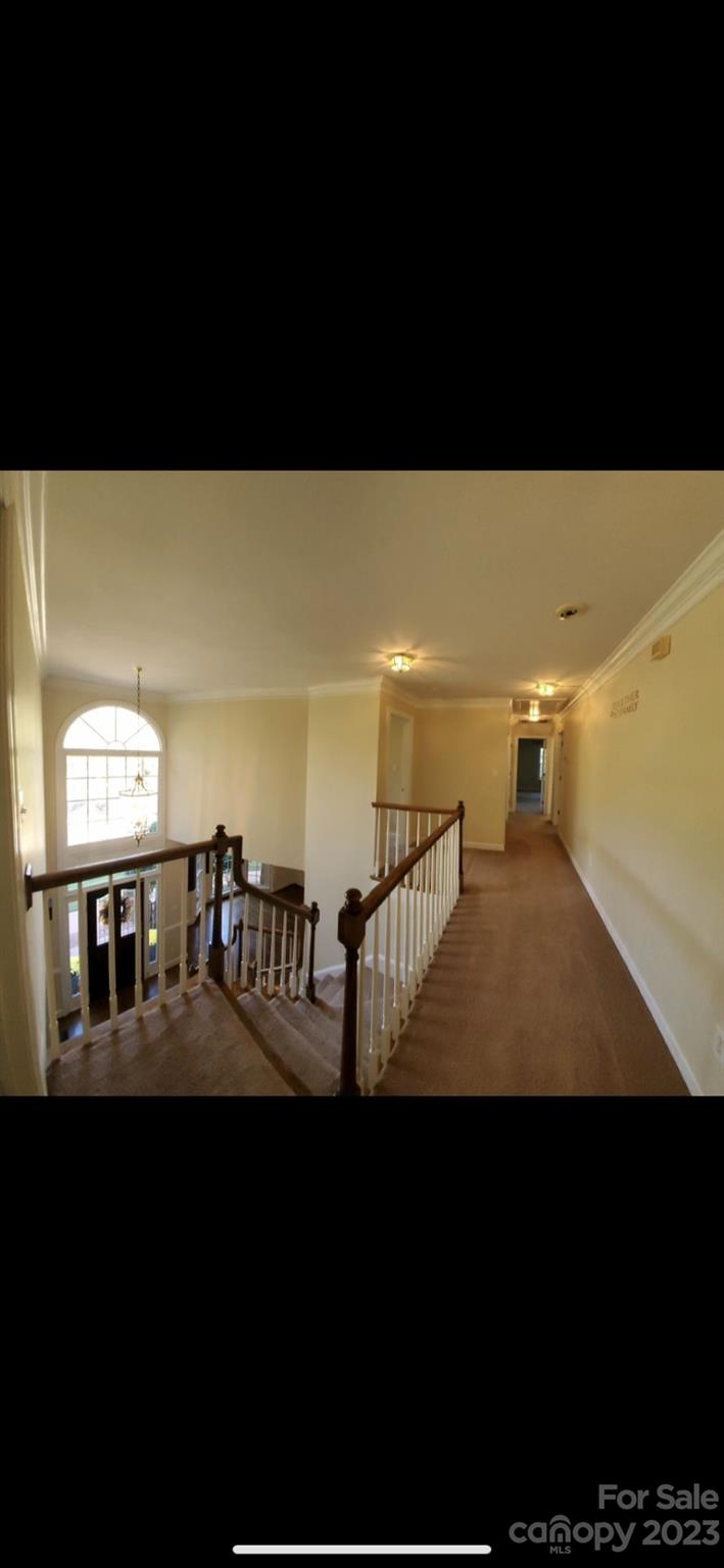 Hamilton Place - Residential