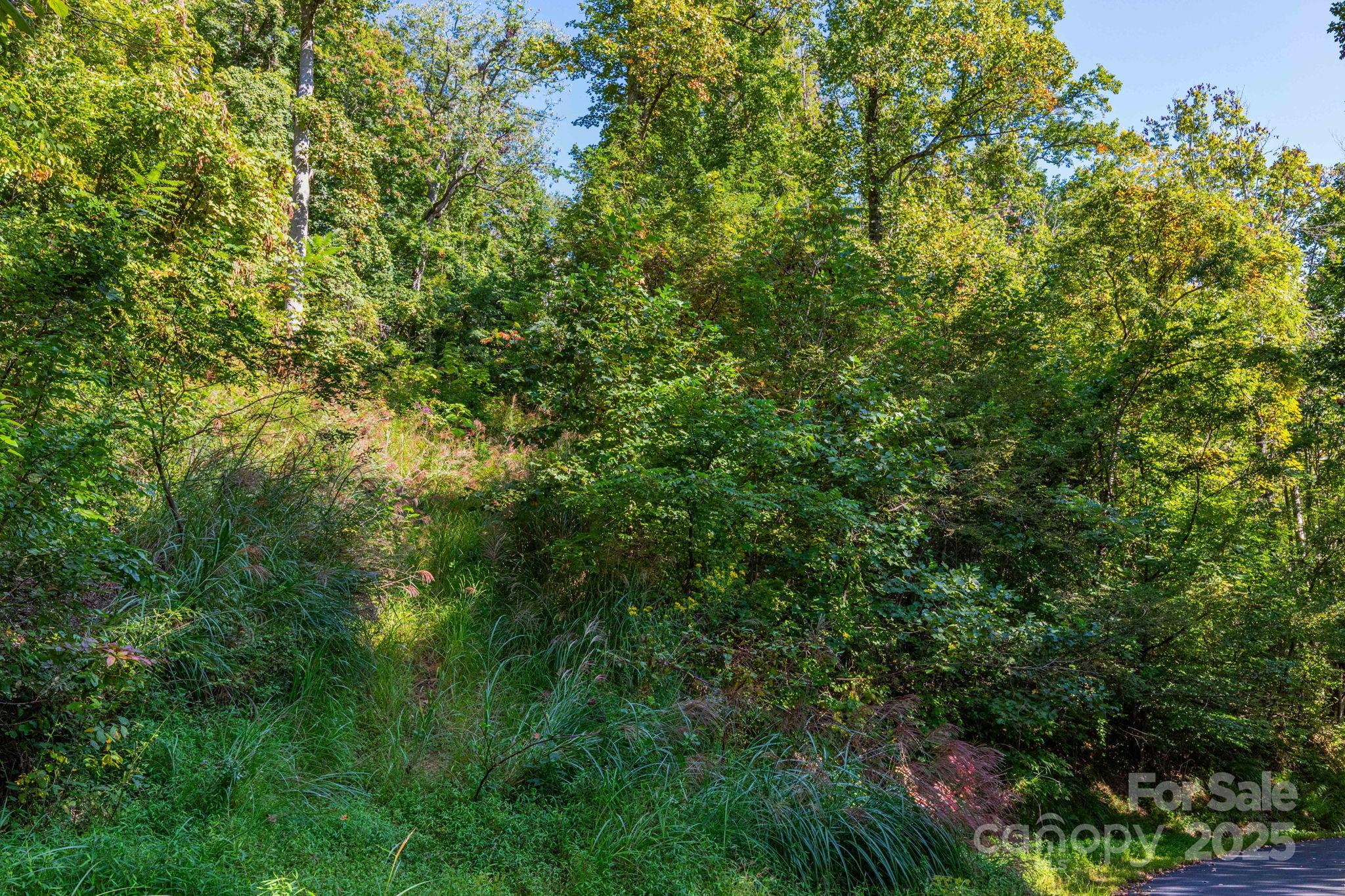 Mountain Park - Land