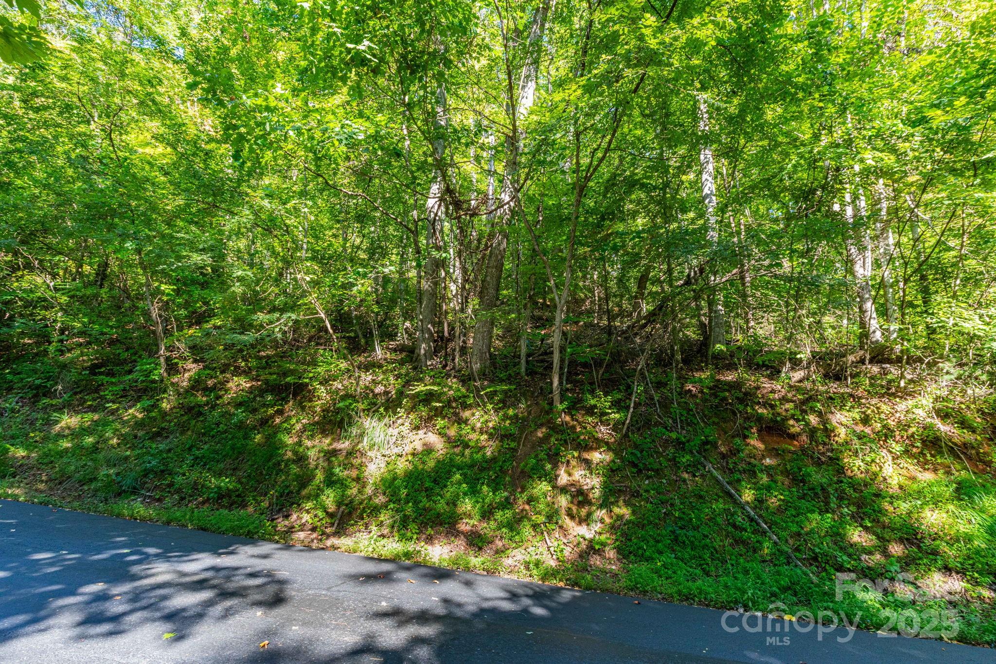 Mountain Park - Land