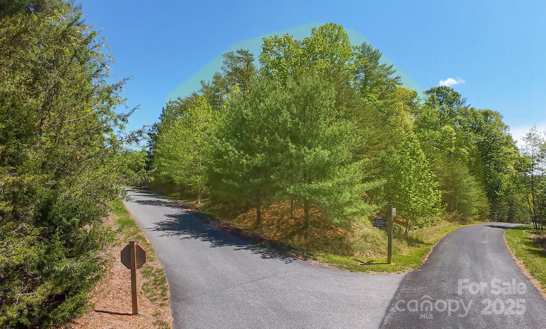 Nebo, North Carolina 28761, United States, ,Land,Active,119109