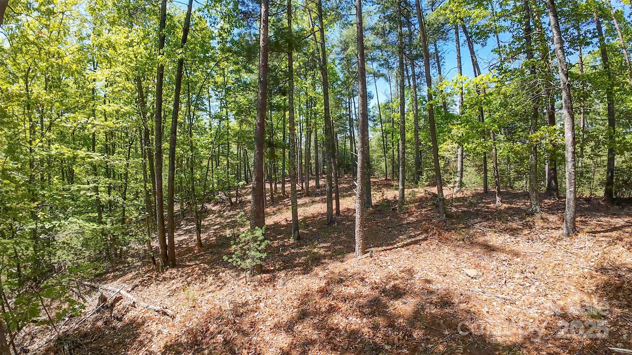 46 Osprey Roost Drive