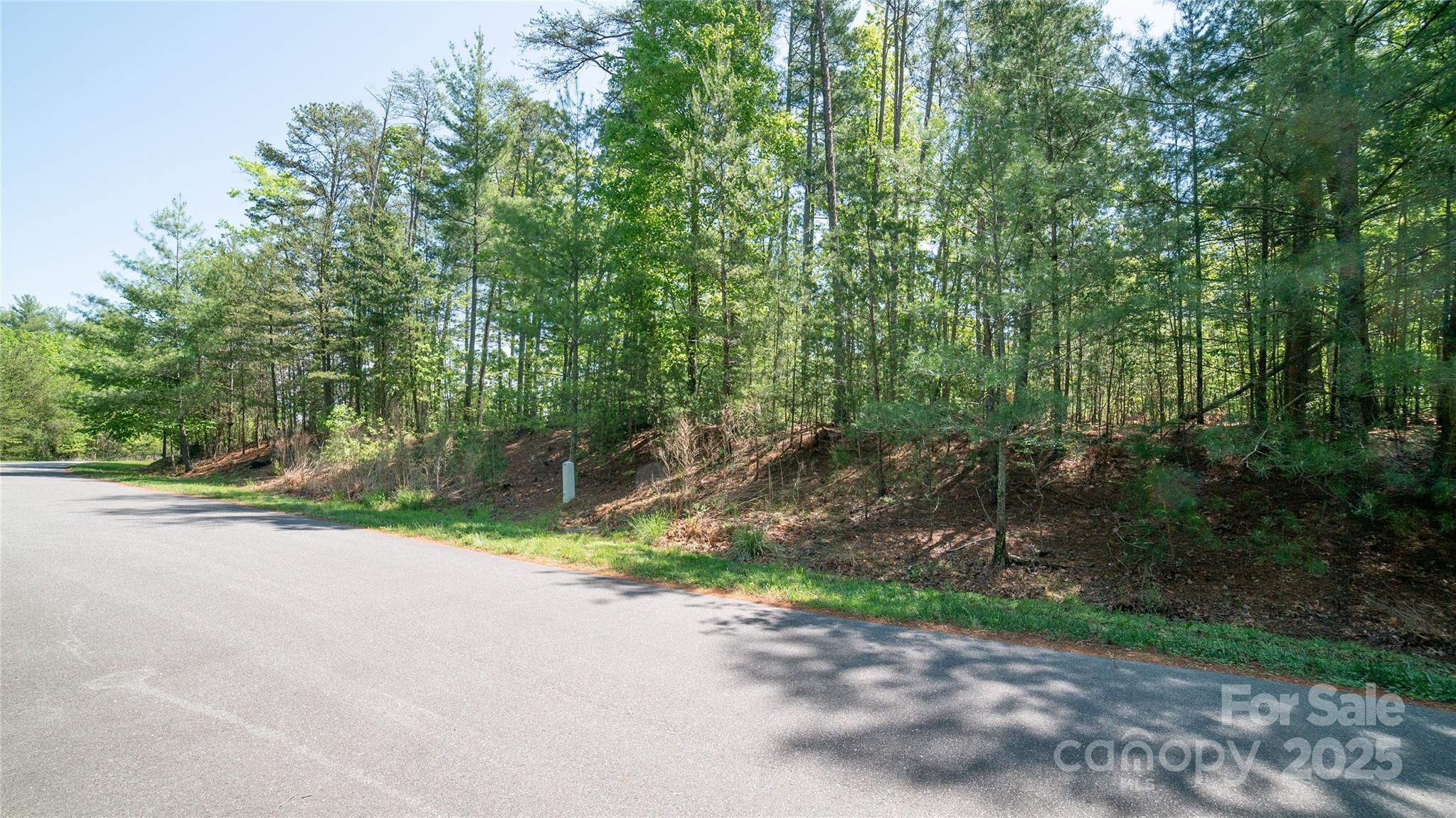 Nebo, North Carolina 28761, United States, ,Land,Active,119109