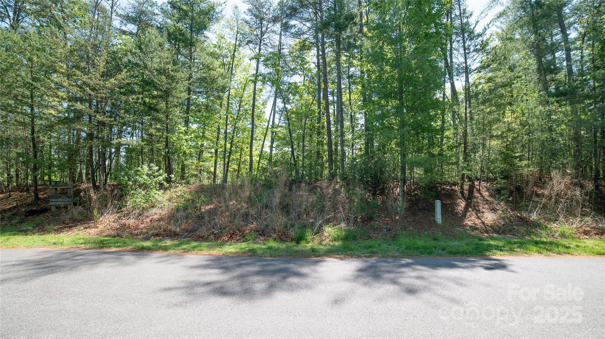 Nebo, North Carolina 28761, United States, ,Land,Active,119109