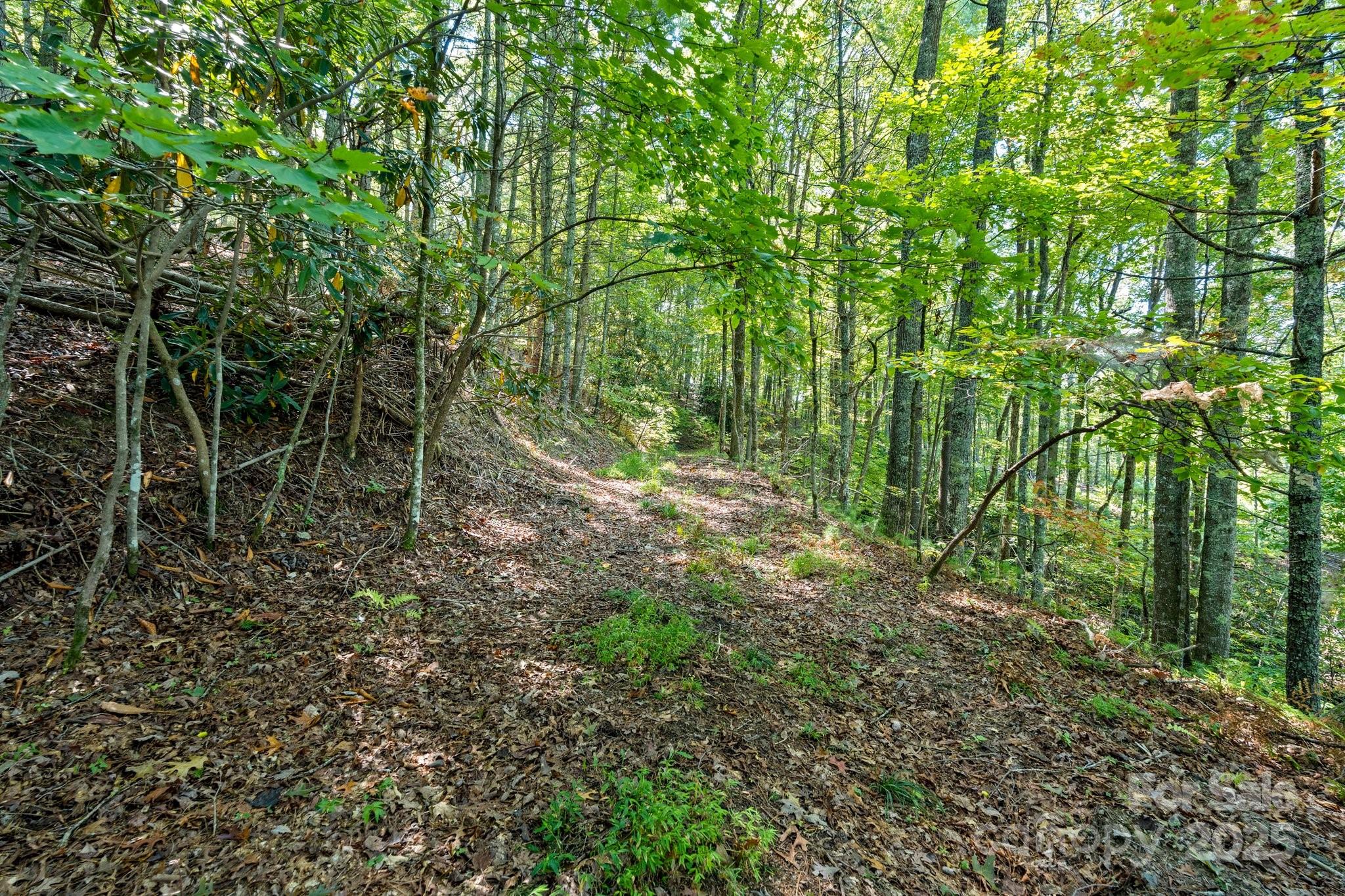 TBD Anson G. Betts Road