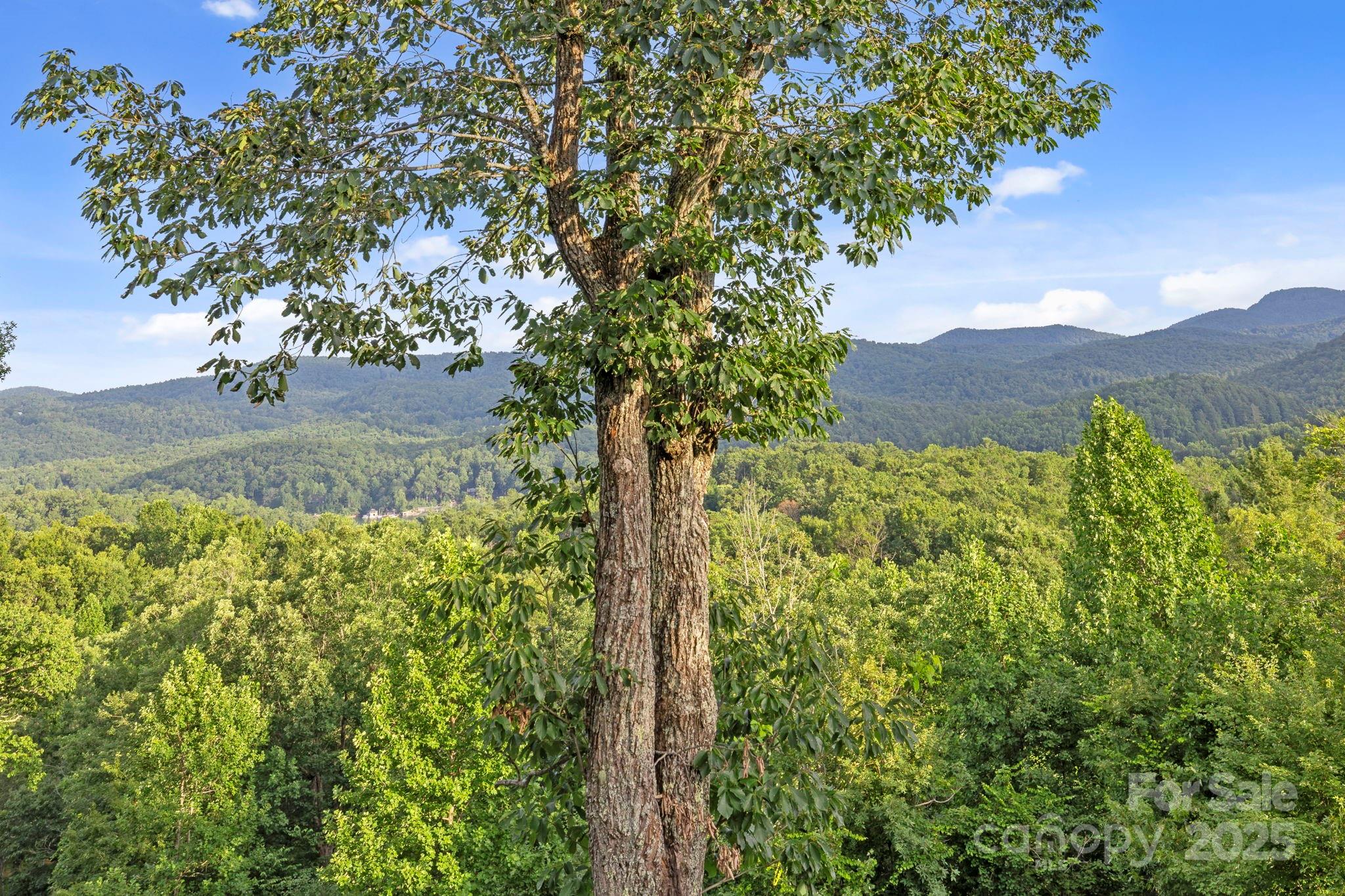 Hawks Point - Residential