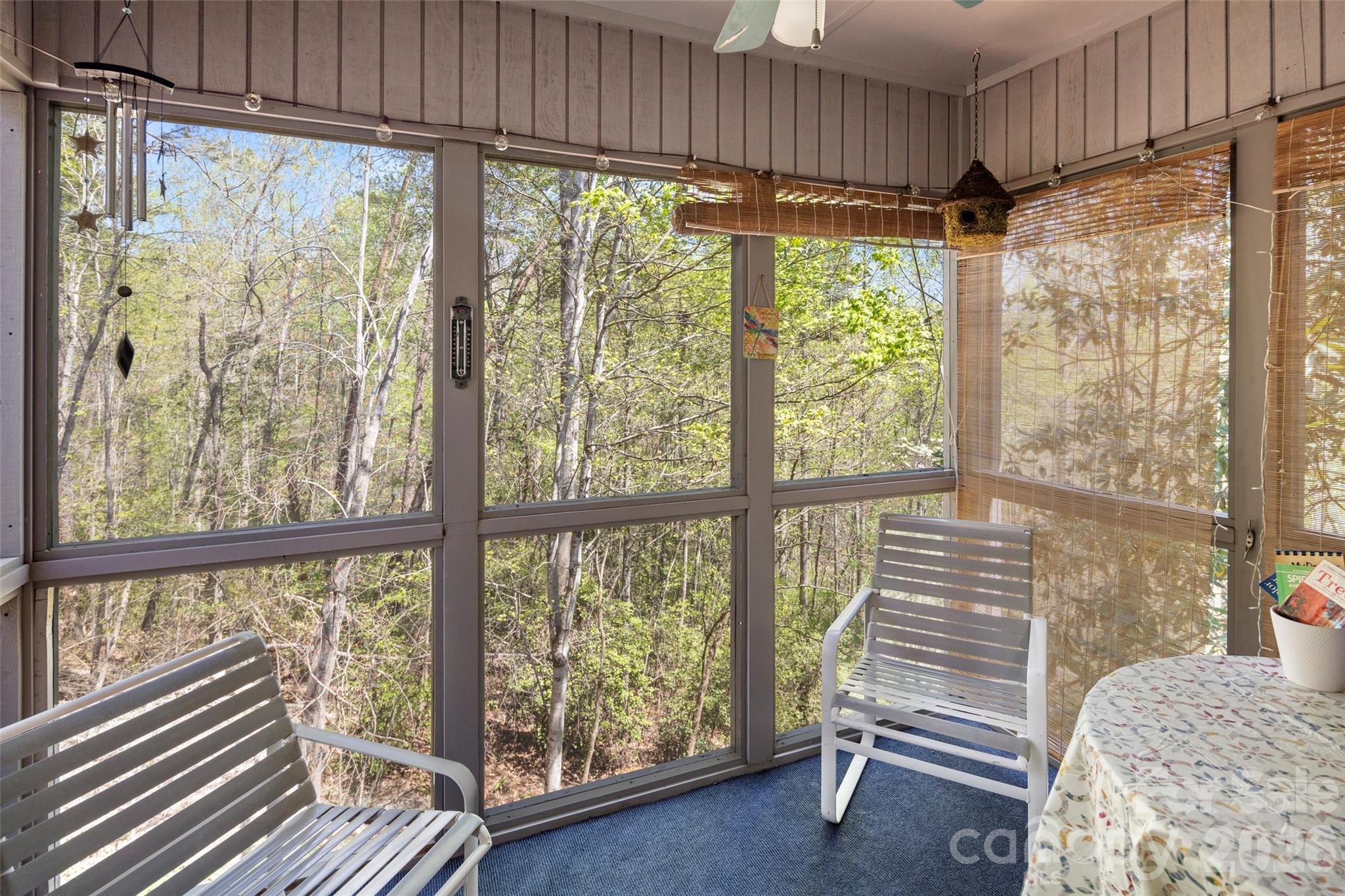 Rumbling Bald on Lake Lure - Residential