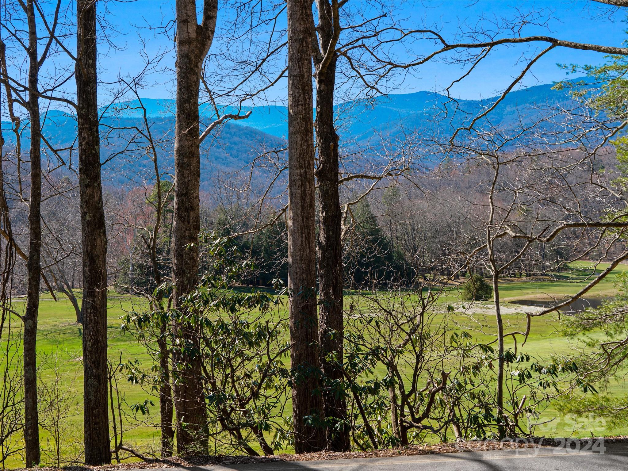 Mt. Mitchell Lands - Land