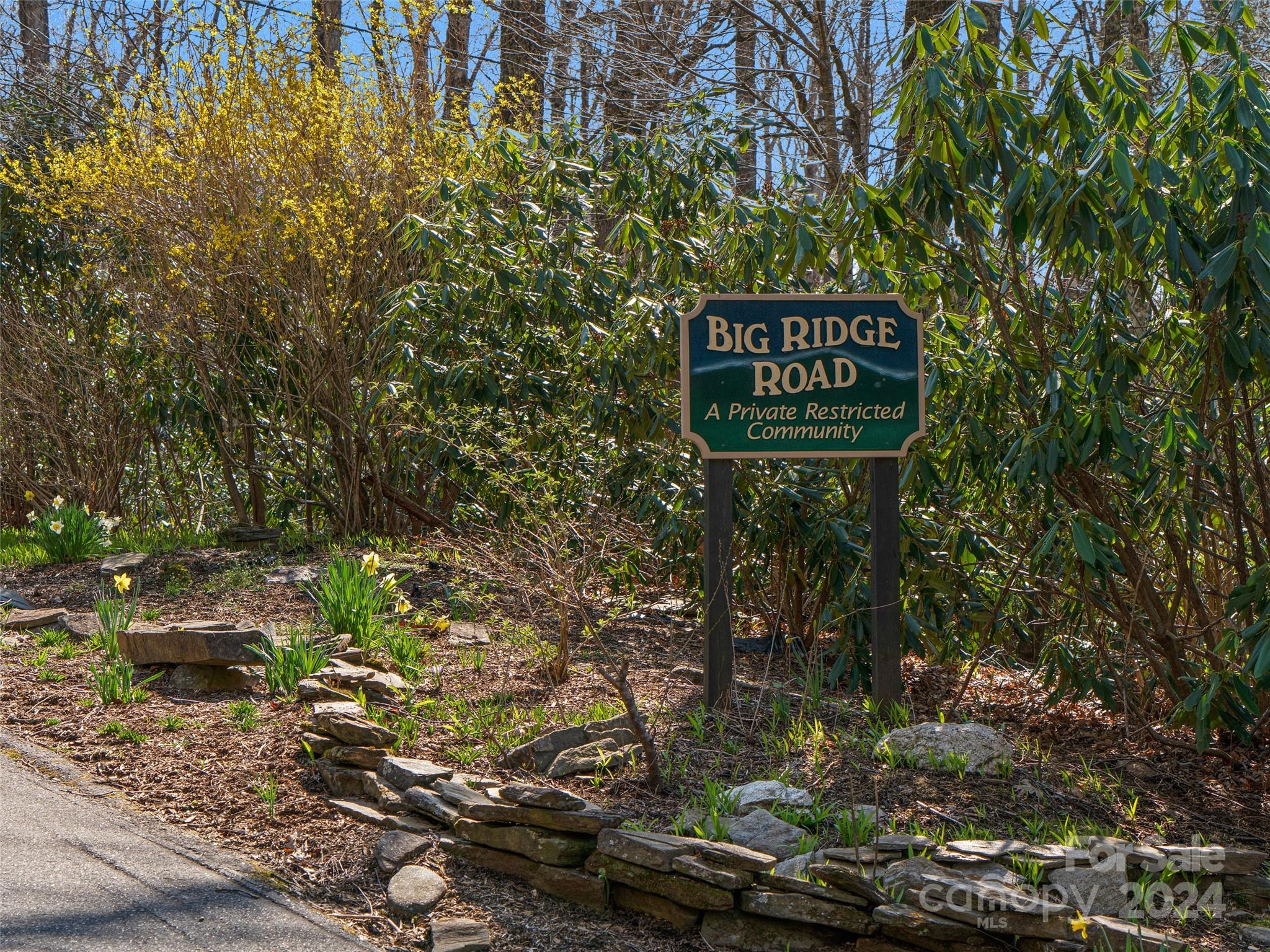Mt. Mitchell Lands - Land