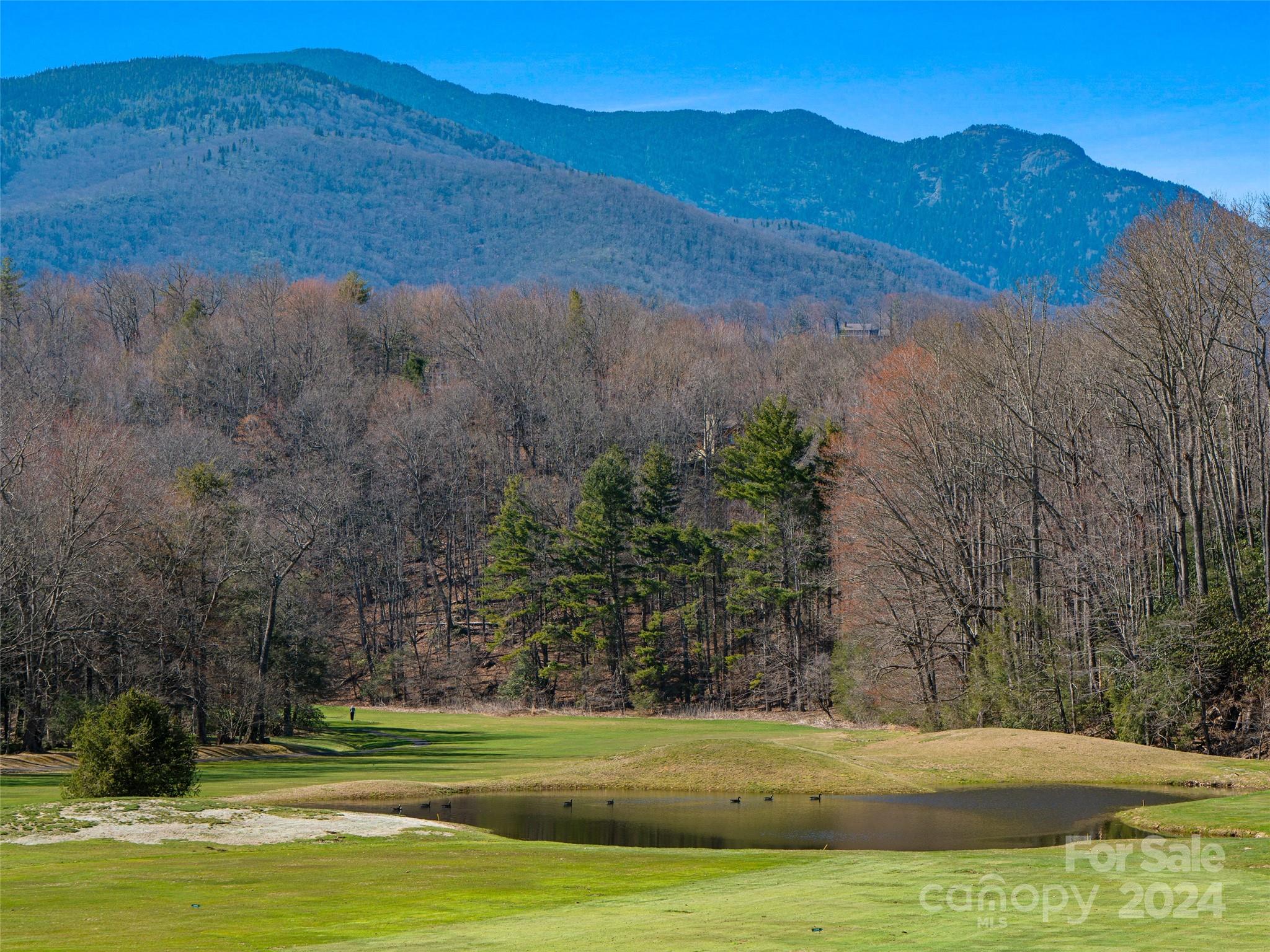 Mt. Mitchell Lands - Land
