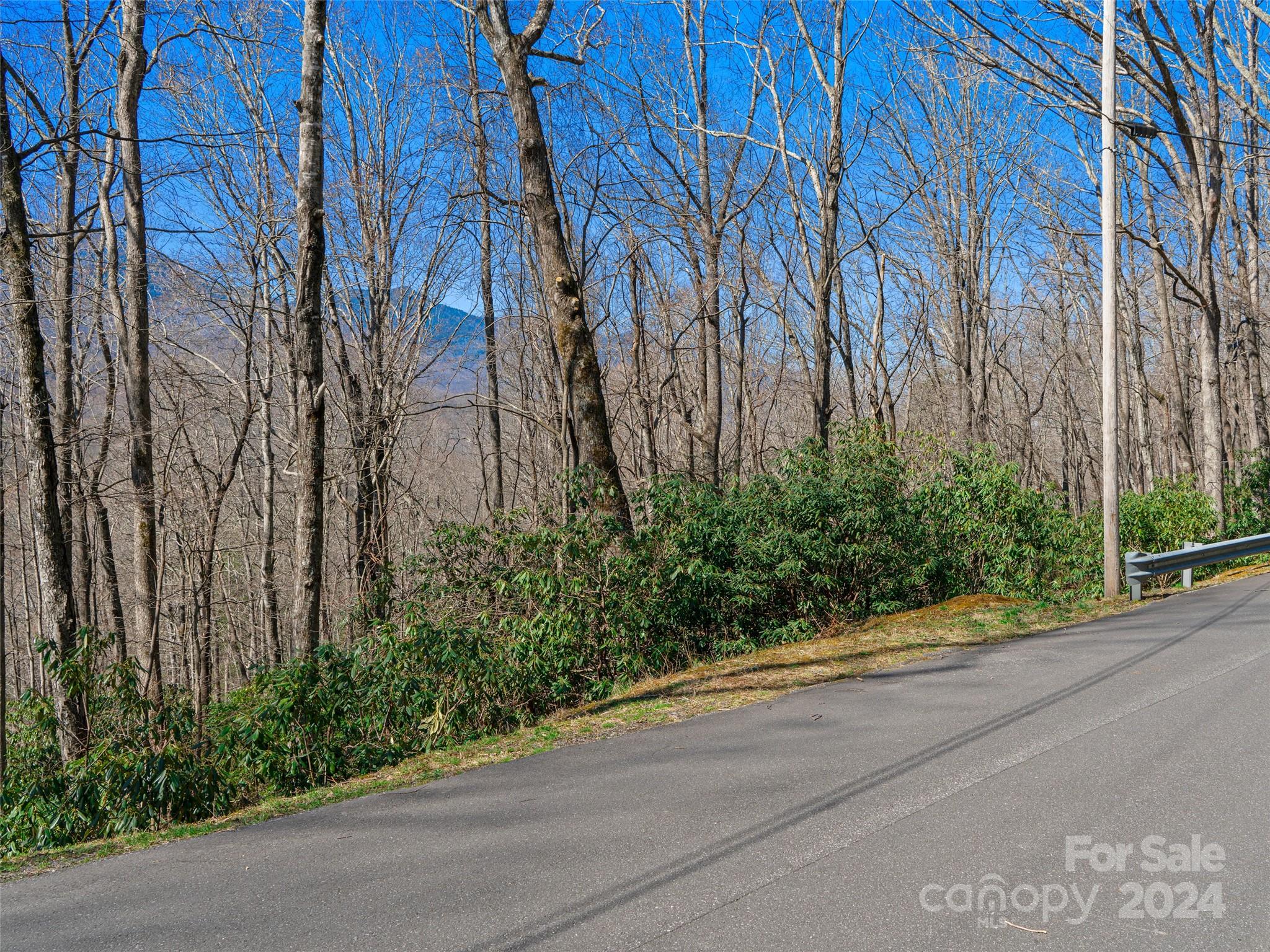 Mt. Mitchell Lands - Land