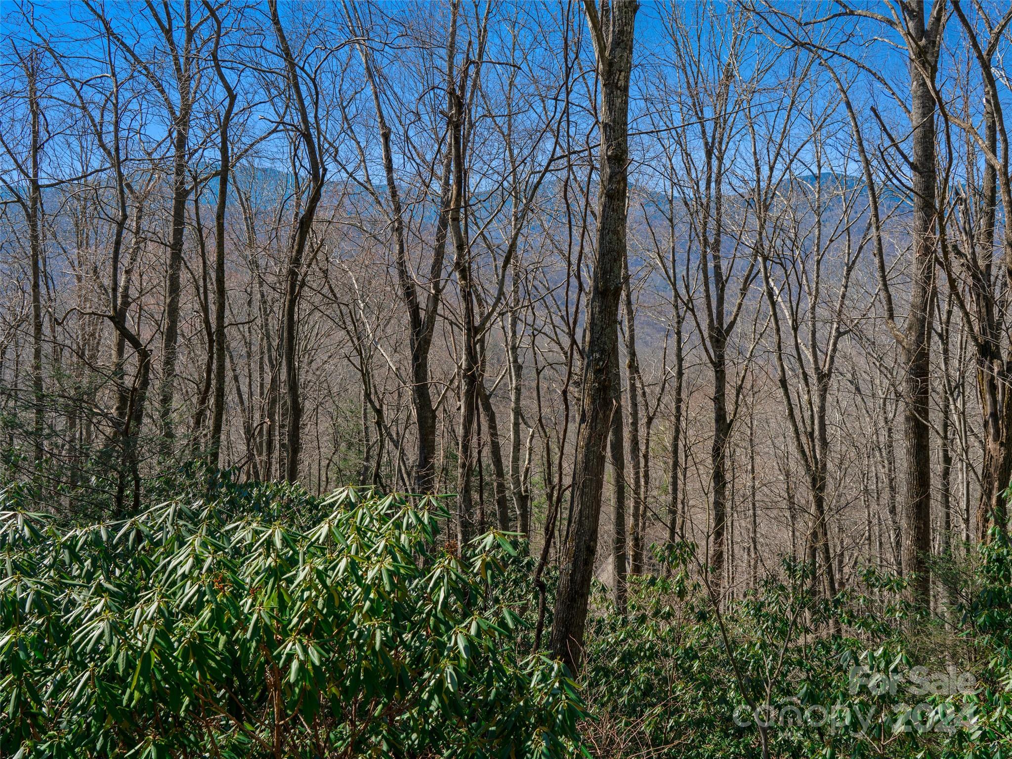 Mt. Mitchell Lands - Land