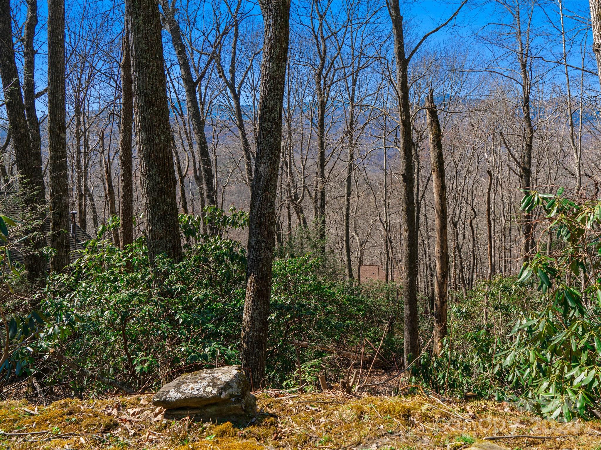 Mt. Mitchell Lands - Land