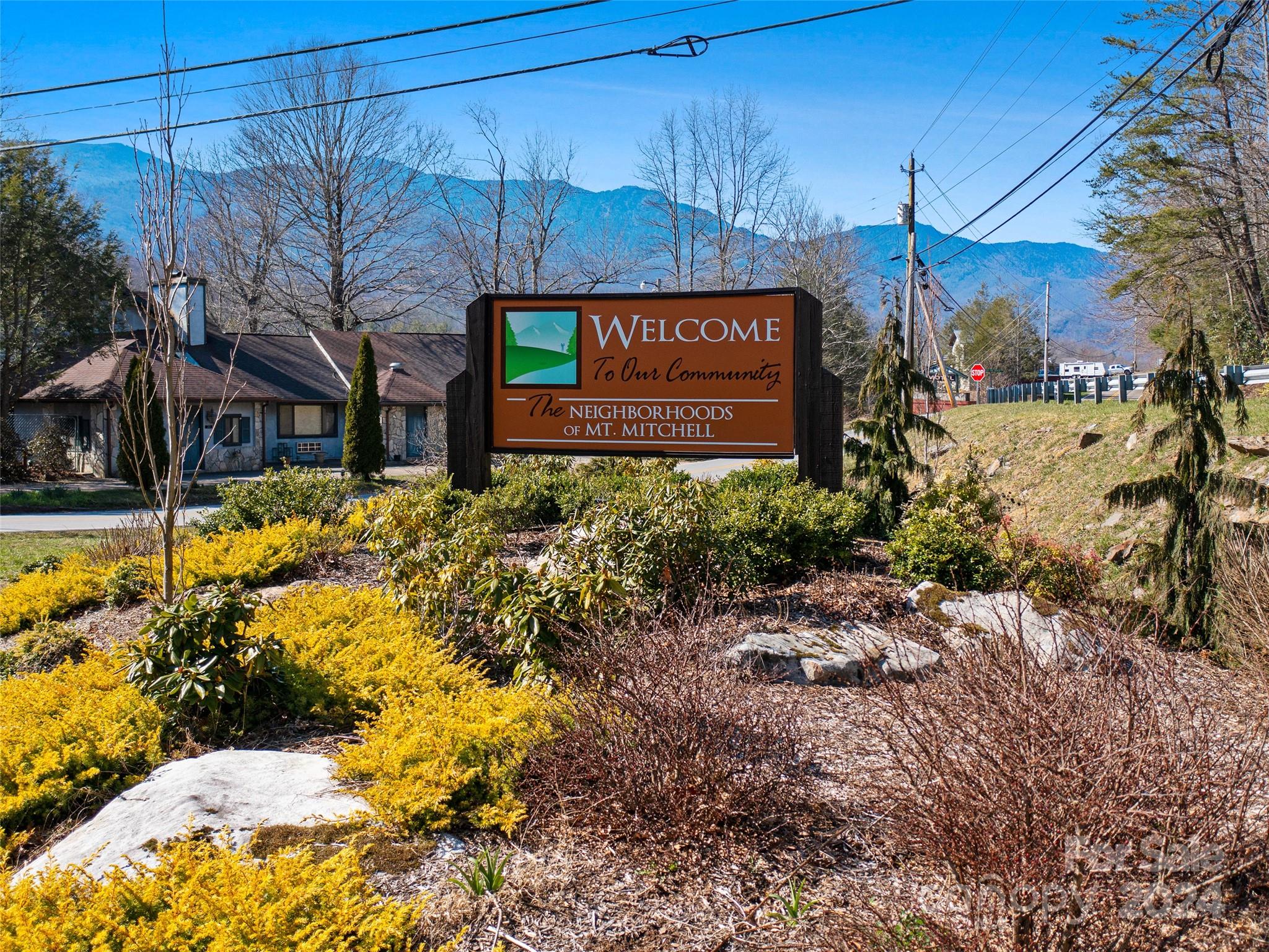 Mt. Mitchell Lands - Land