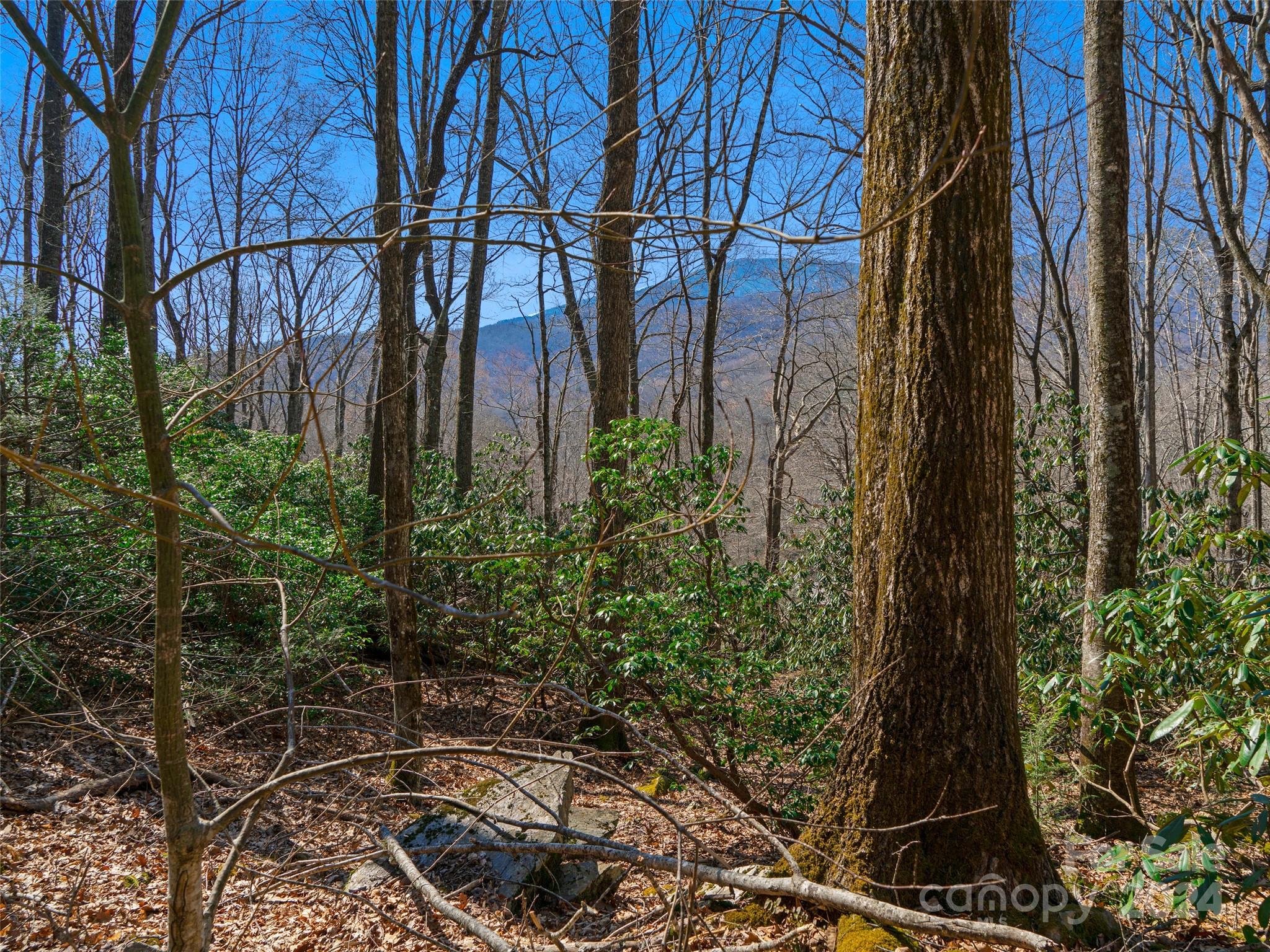 000 Big Ridge Road 62 & 63