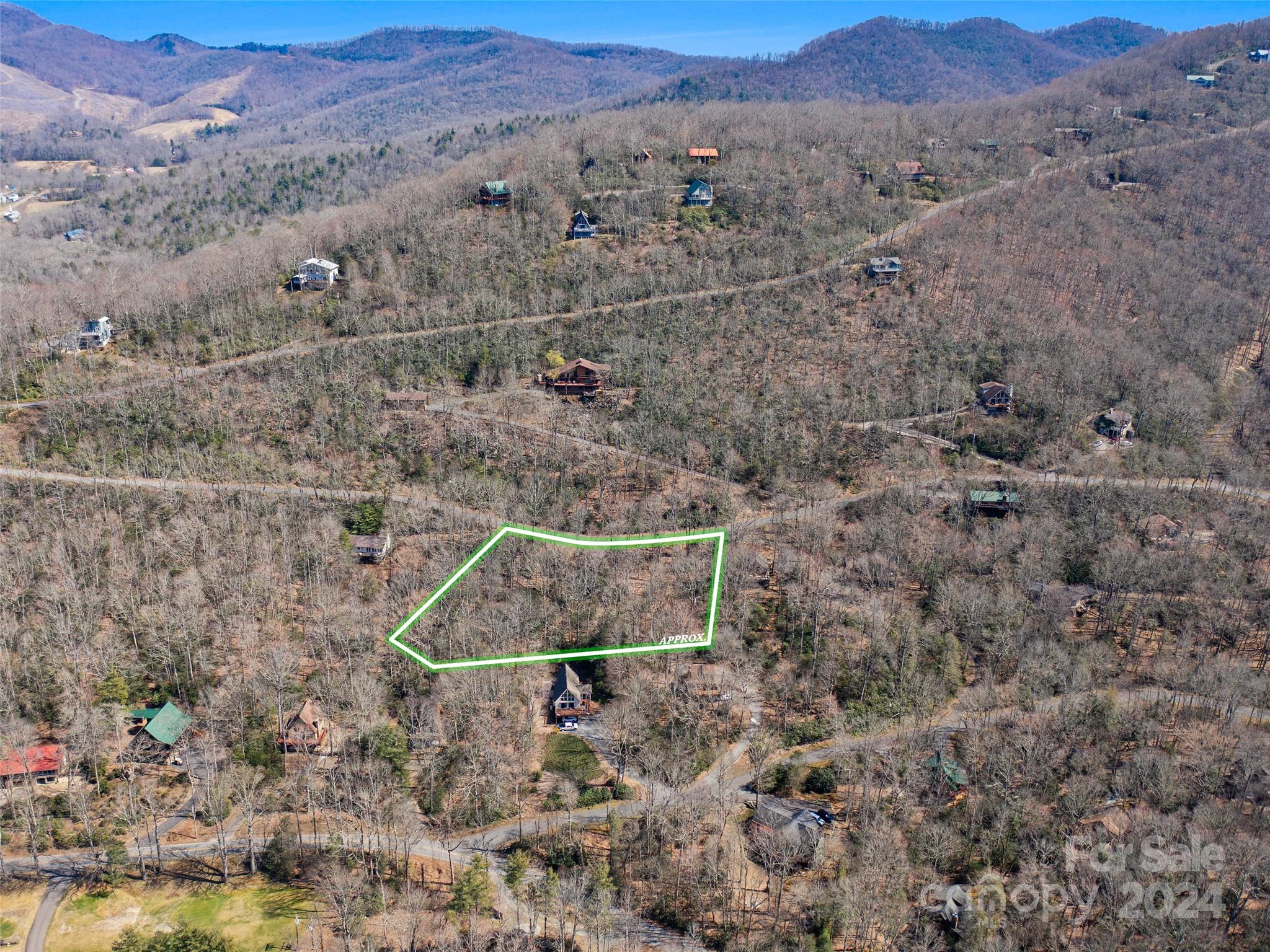 Mt. Mitchell Lands - Land