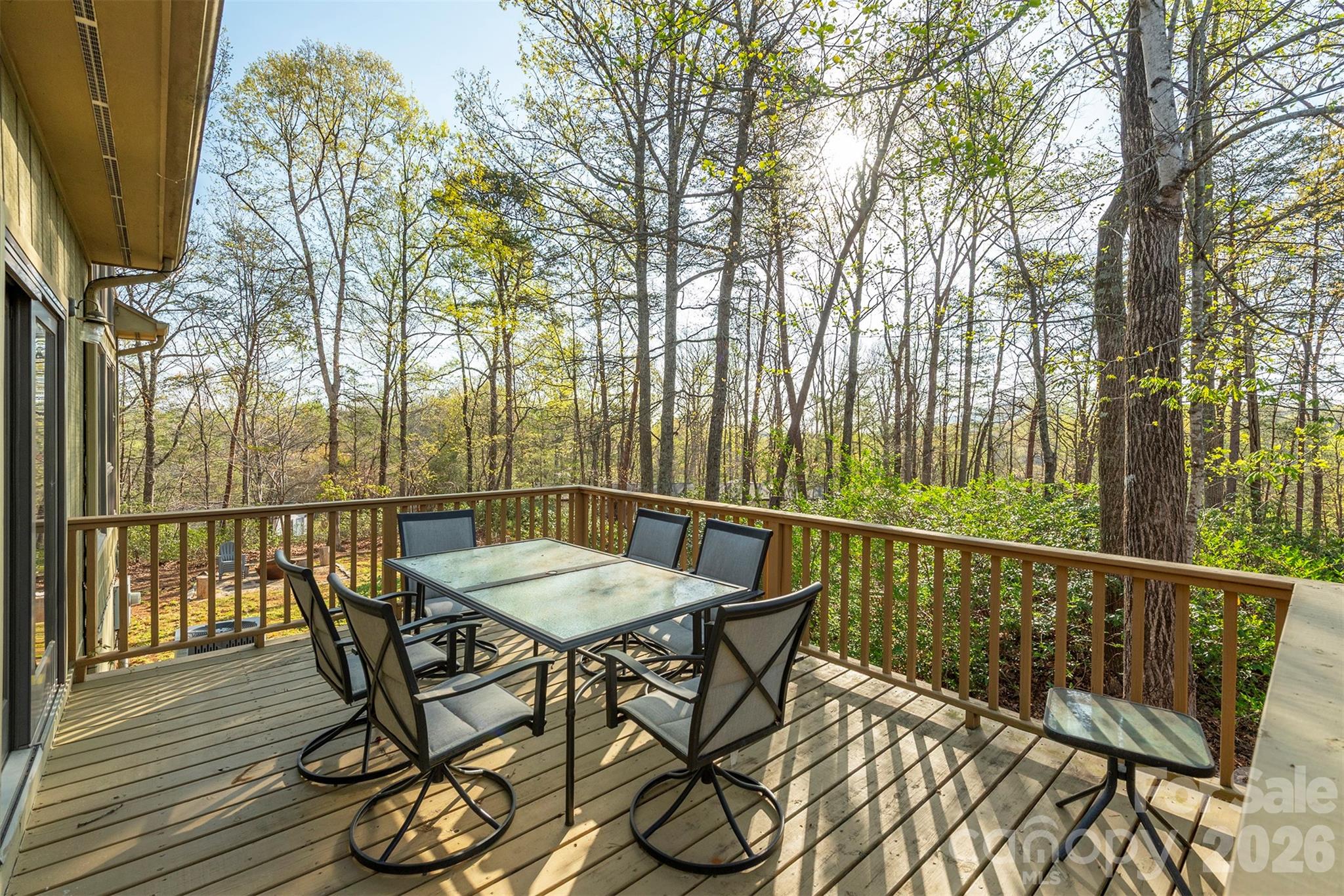 Rumbling Bald on Lake Lure - Residential