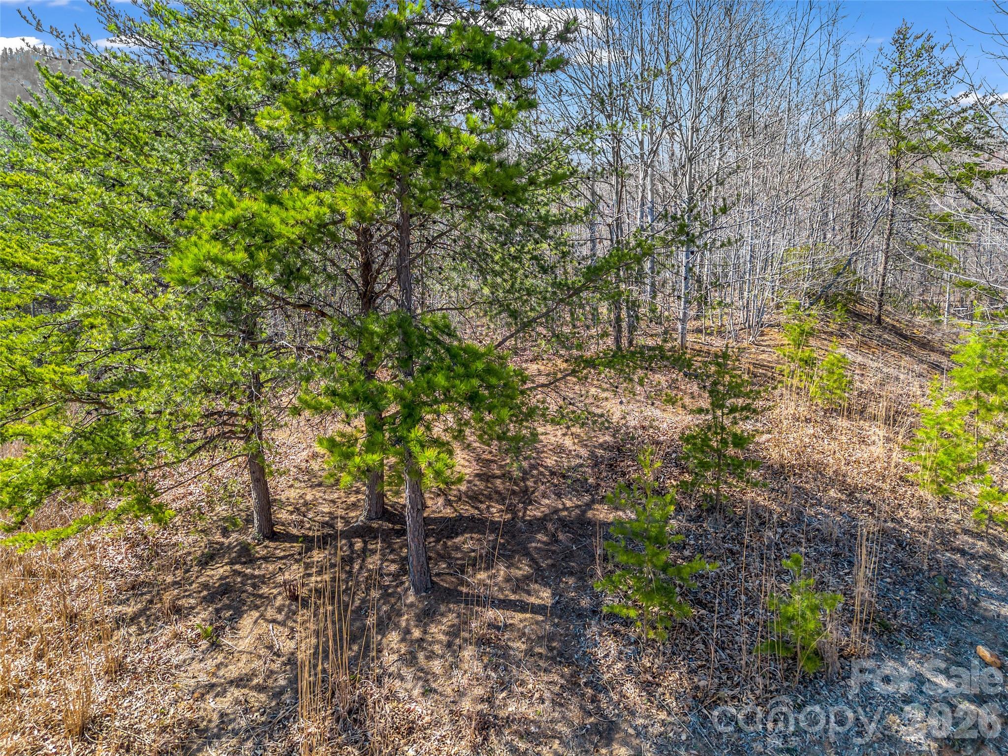 Brights Creek - Land