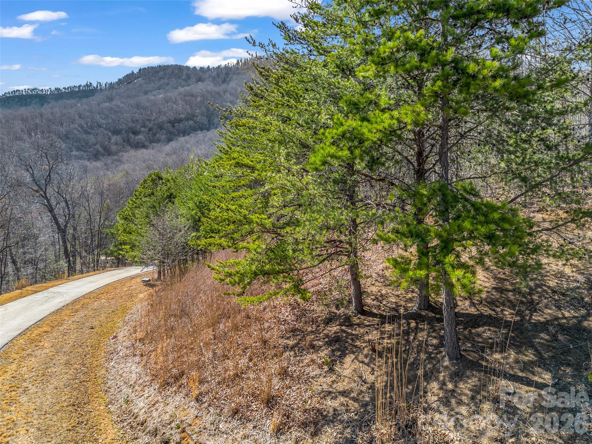 Brights Creek - Land