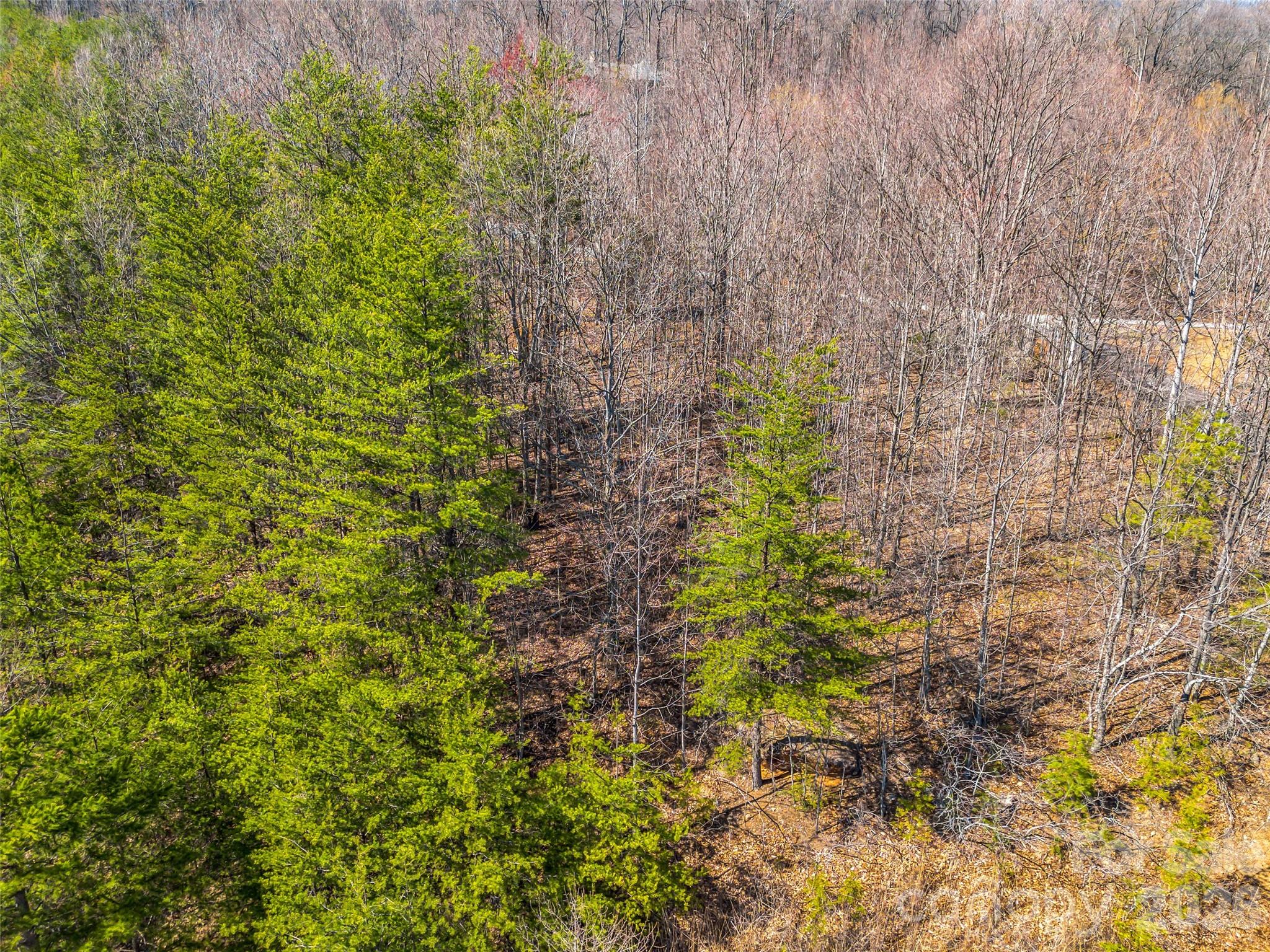 Brights Creek - Land