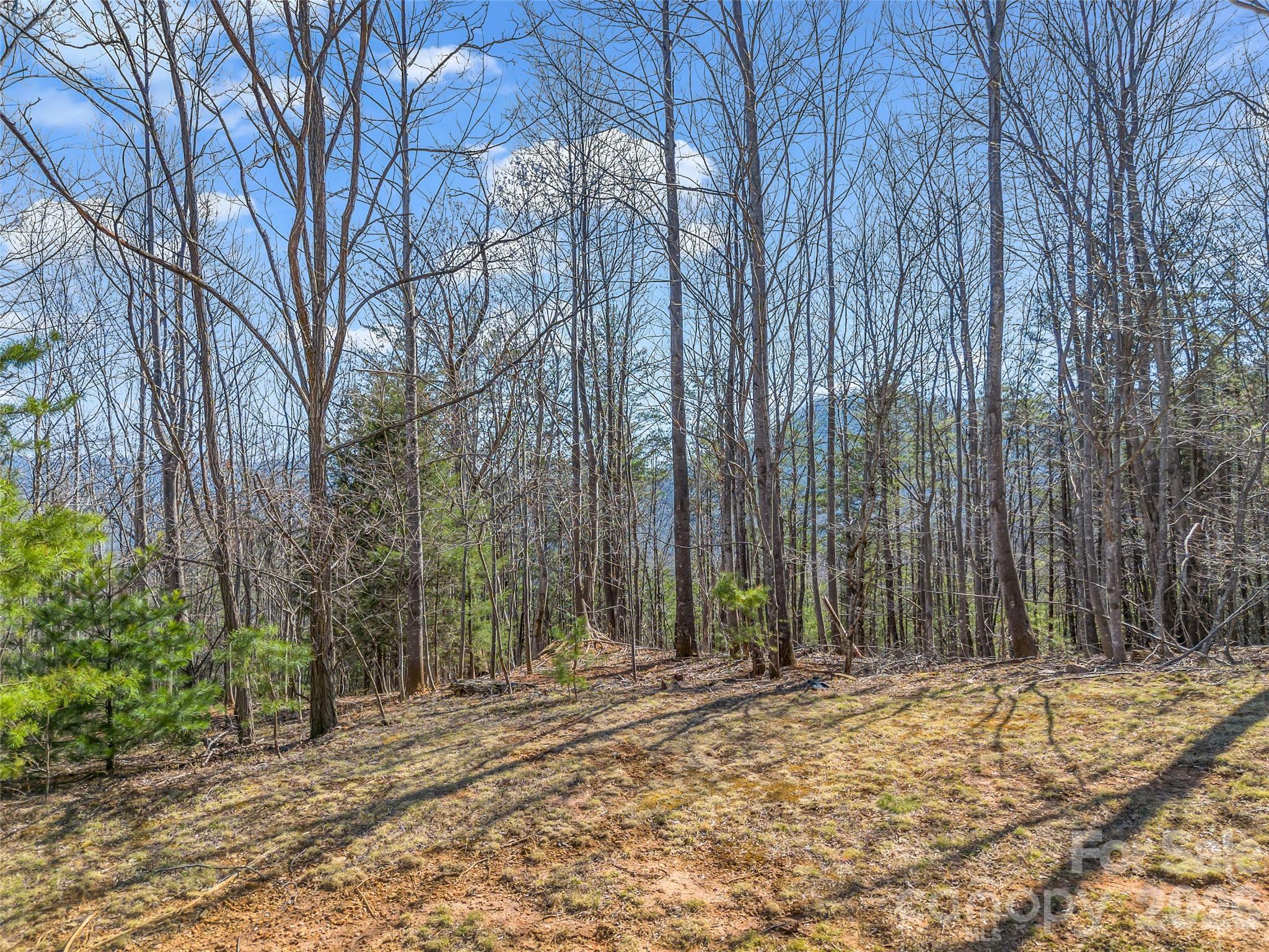 Brights Creek - Land