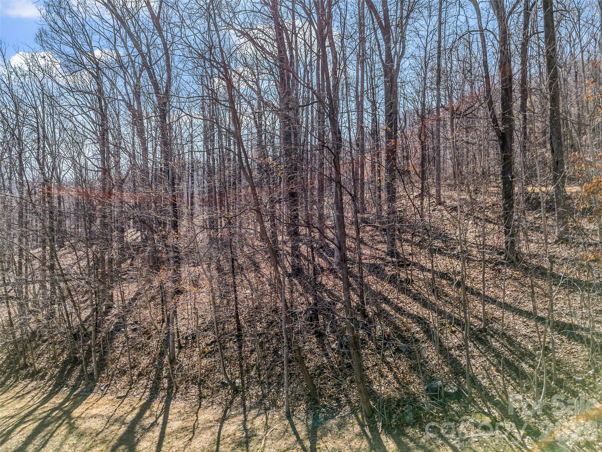 Brights Creek - Land