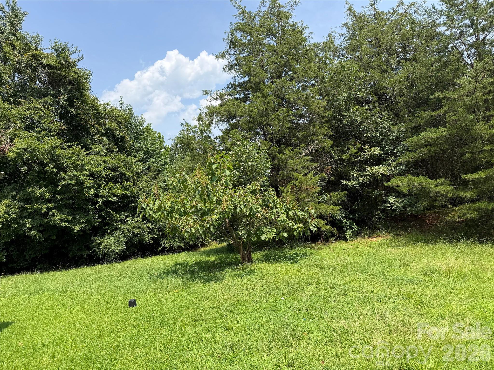 173 Billie Misty Road