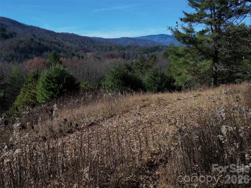 Discover the perfect blend of privacy, beauty, and convenience in Dream Valley, a scenic mountain community in idyllic Haywood County, NC, USA. This exceptional lot features breathtaking long-range mountain views from a prime building site perched atop a gently sloping ridge. The driveway and homesite have already been cut in and cleared, offering a ready-to-build opportunity with panoramic mountain views extending from SE to NW. The wooded backside provides added privacy and natural beauty, sloping gracefully down to the cul de sac road behind, adding the potential for a guest-accommodating and/or income-bearing cabin accessed from a separate driveway. Automated gate currently being installed, and there is Spectrum fiber-optic internet is in the community. Excellent proximity to WNC attractions, 45 minutes from the AVL airport.