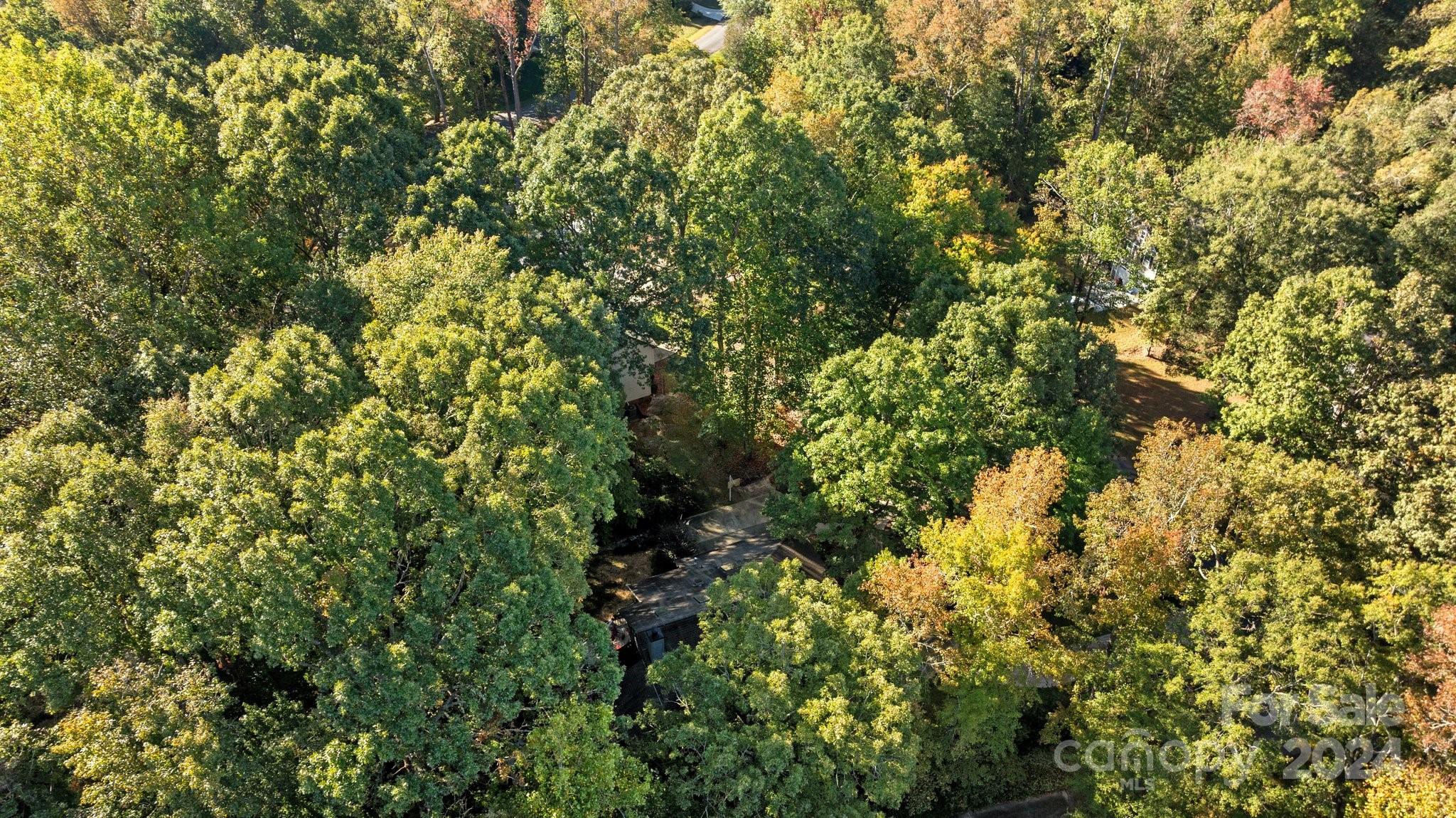 Wood Forest - Residential
