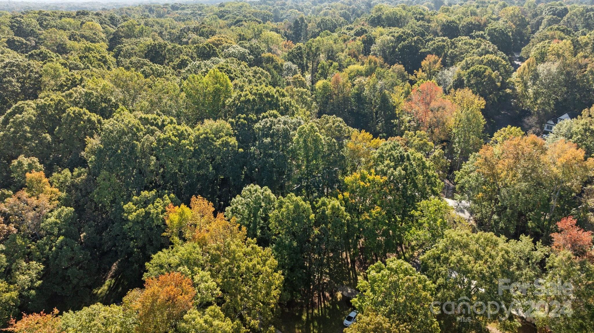 Wood Forest - Residential