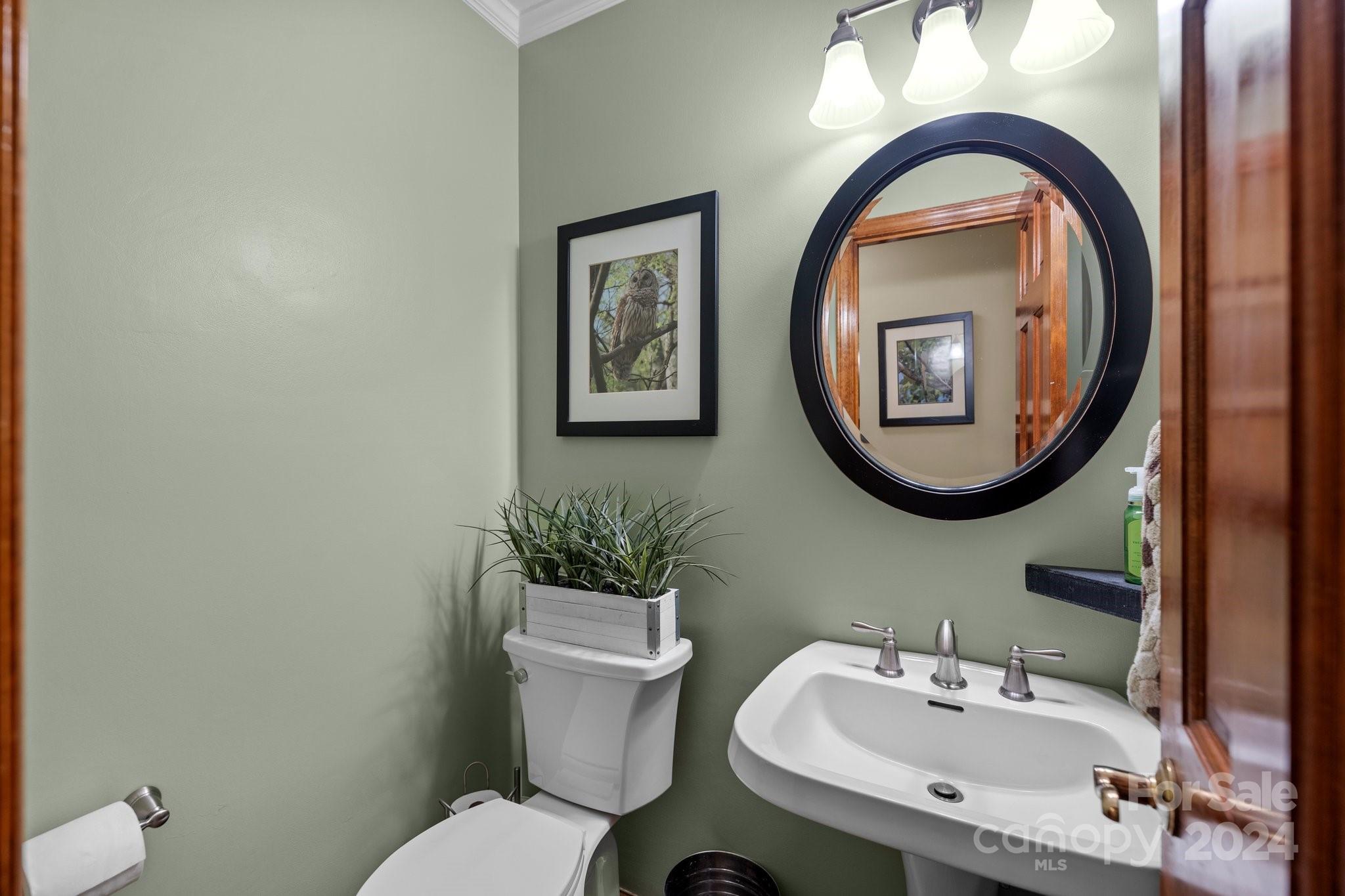 Wood Forest - Residential