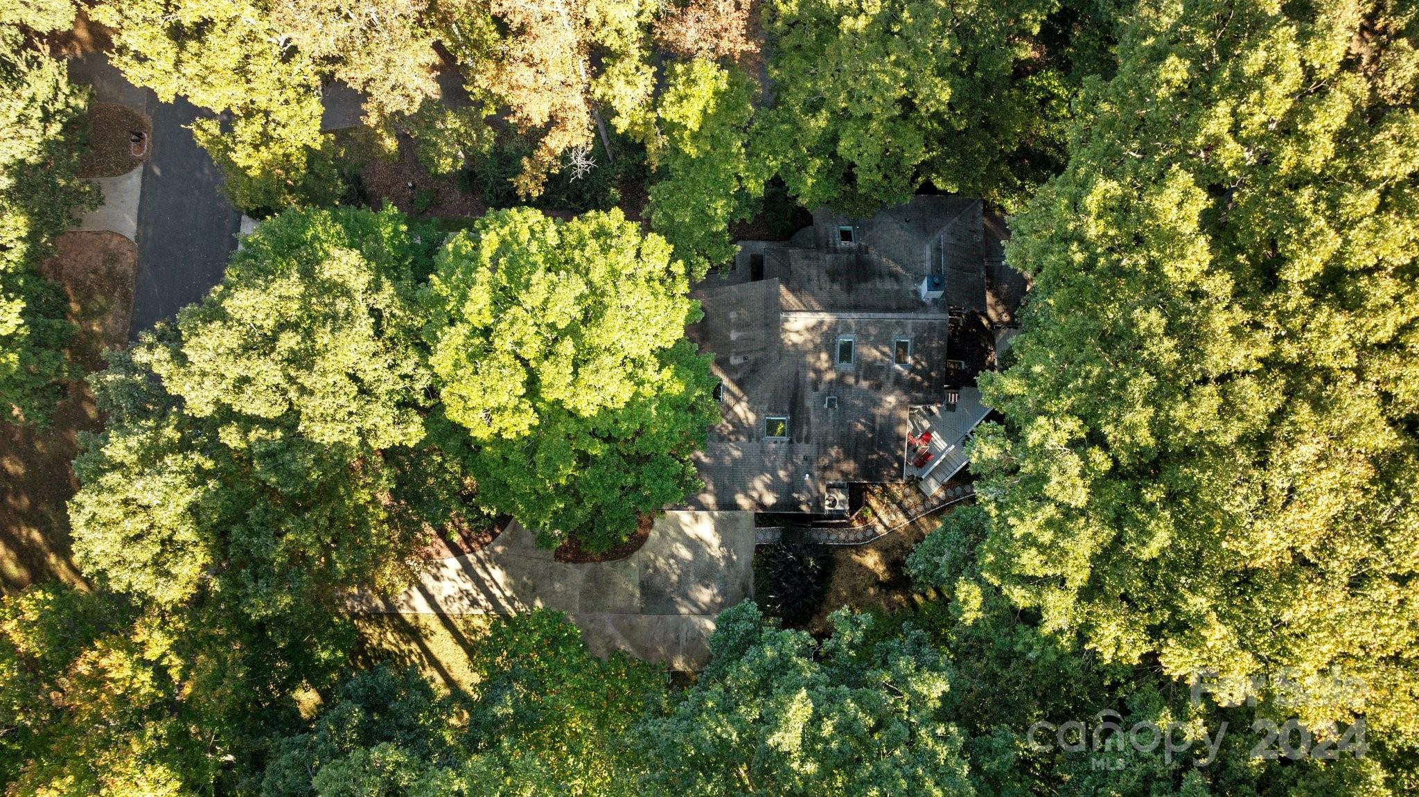 Wood Forest - Residential