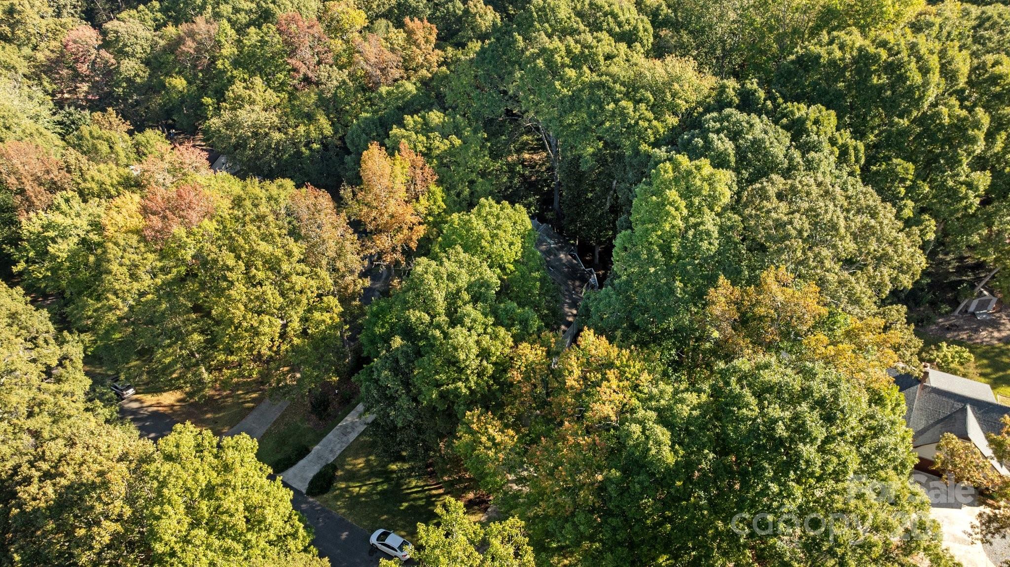 Wood Forest - Residential