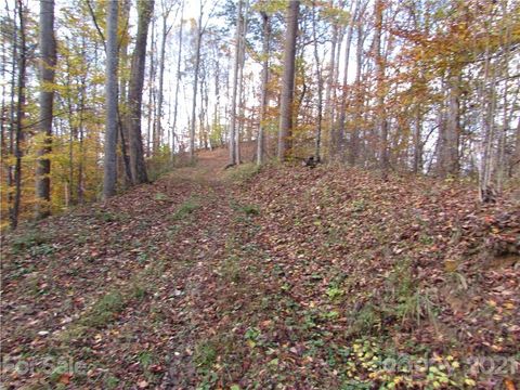 00 Red Wolf Run None Mars Hill NC 28754