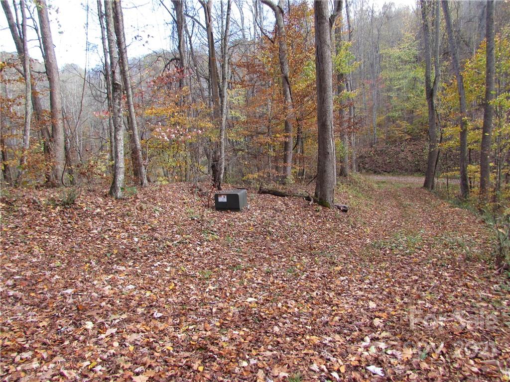 00 Red Wolf Run None