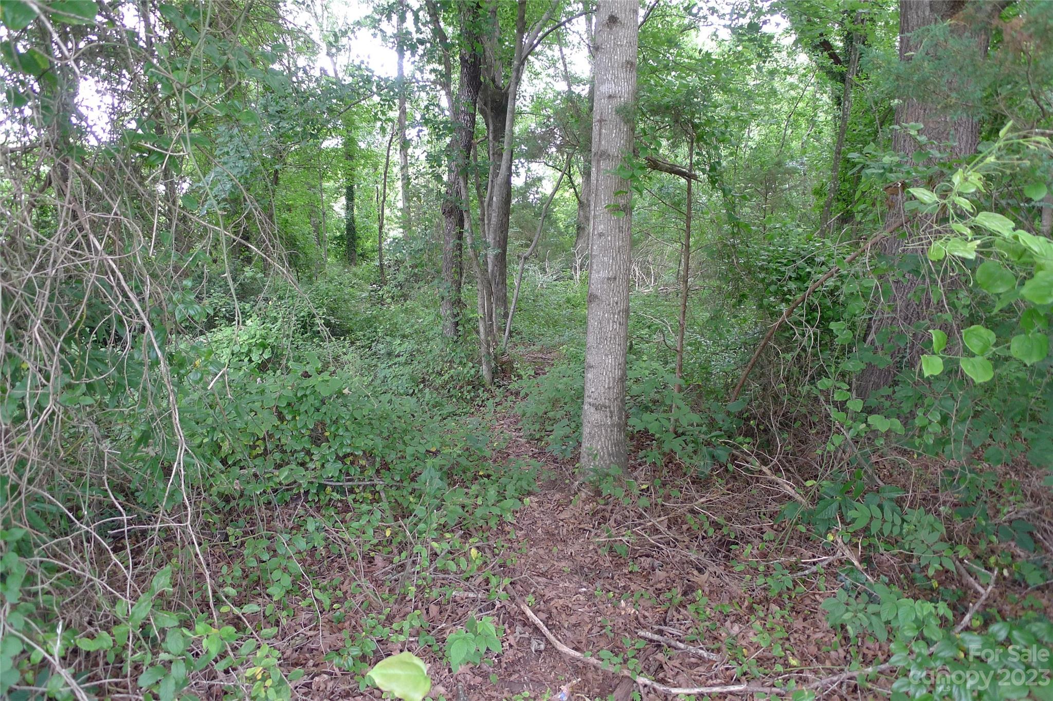 Arlington Heights - Land