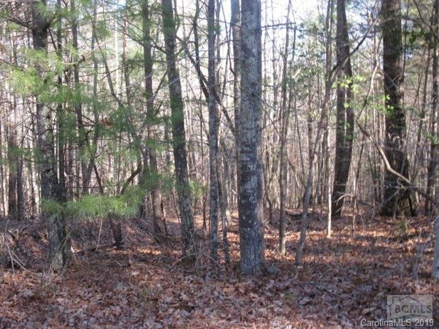 3.74 Acres Great seclusion for a new home with this piece of property and even the possibility of building a pond!  A deeded right-of-way is already in place also with community water and REA power available.  Owner is Broker. RESTRICTIONS:Shared Drive