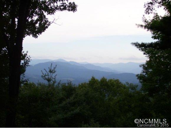 The Forest - Residential