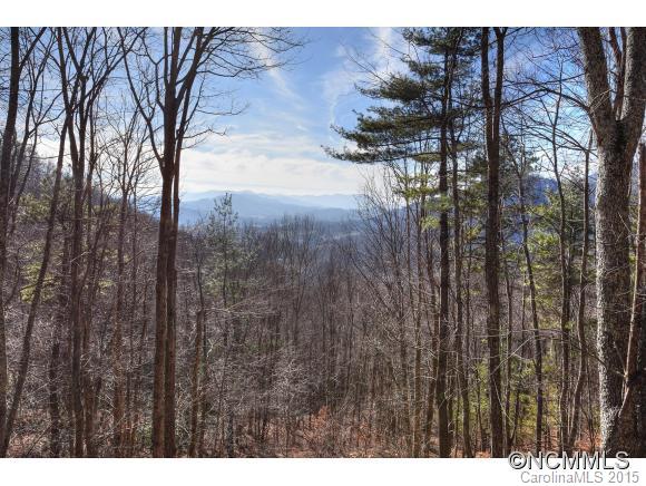 The Forest - Residential