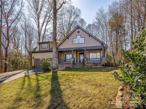 8 Grey Goose Court Biltmore Lake NC 28715