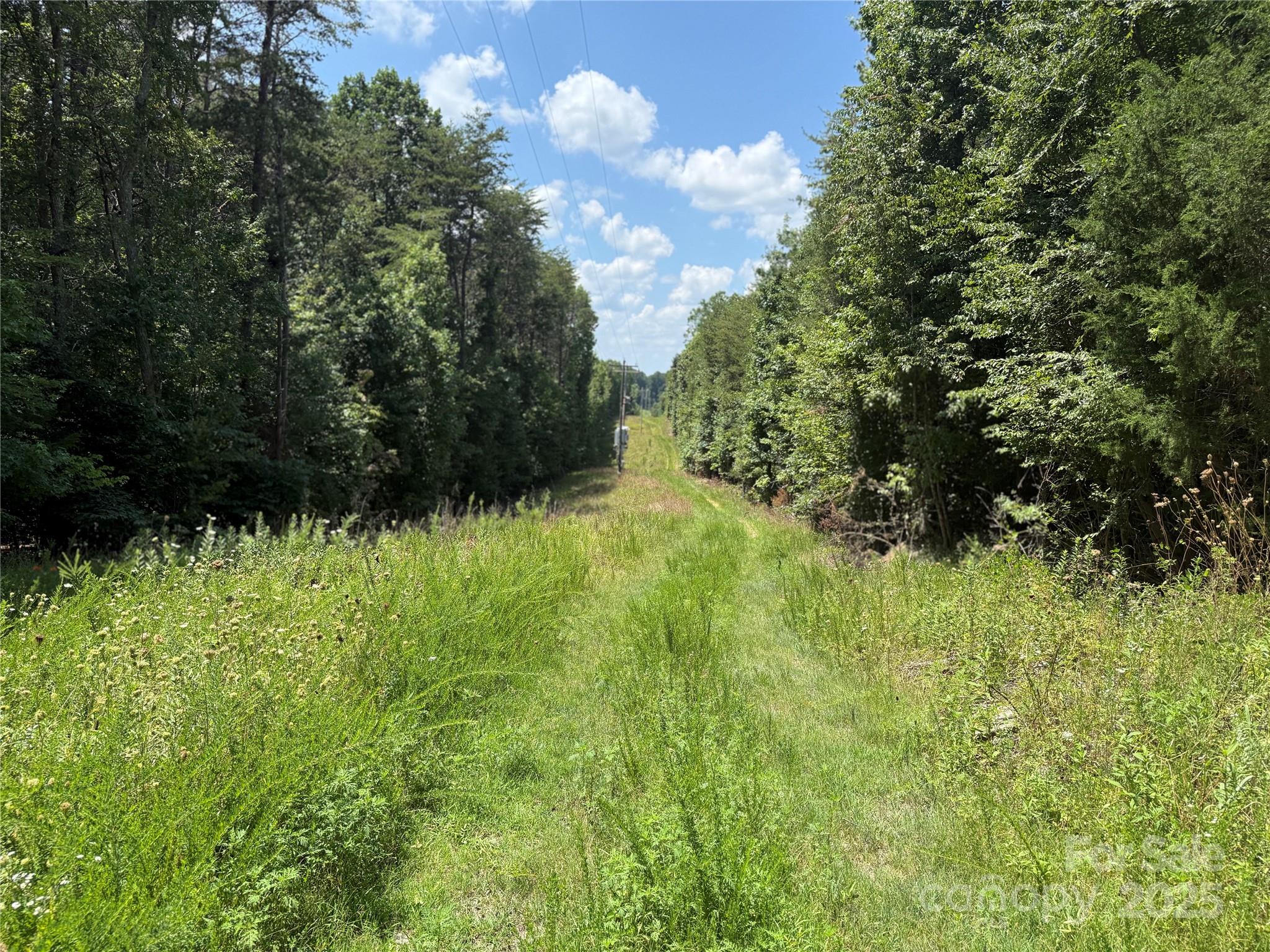 438 Pine River Trail