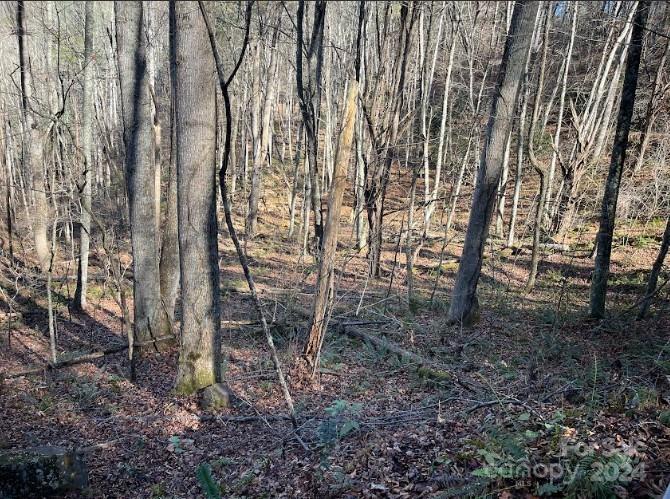 Little Pine Mtn Estates - Land