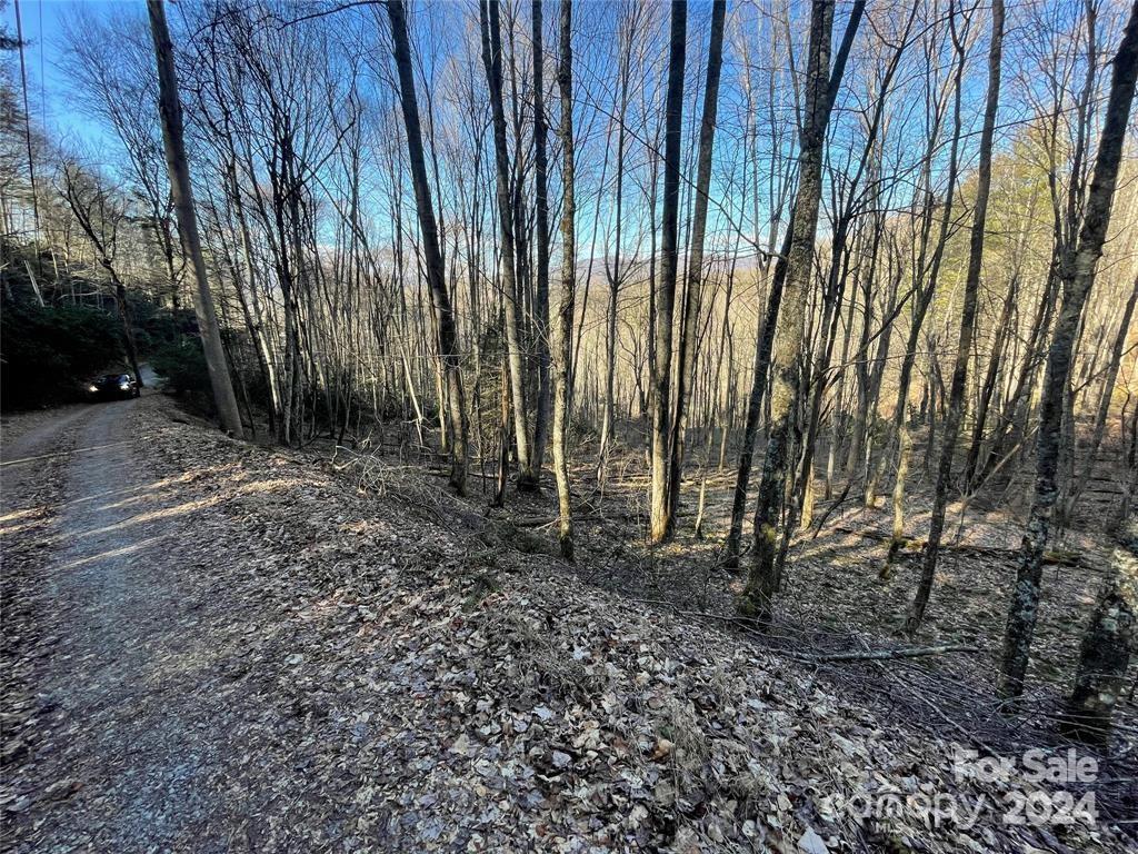 Little Pine Mtn Estates - Land