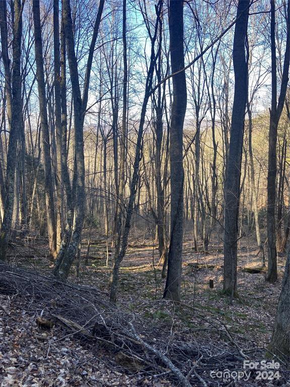 Little Pine Mtn Estates - Land