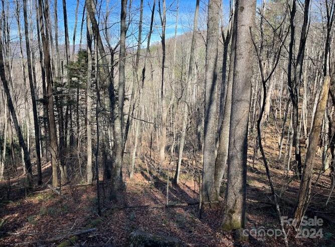 Little Pine Mtn Estates - Land