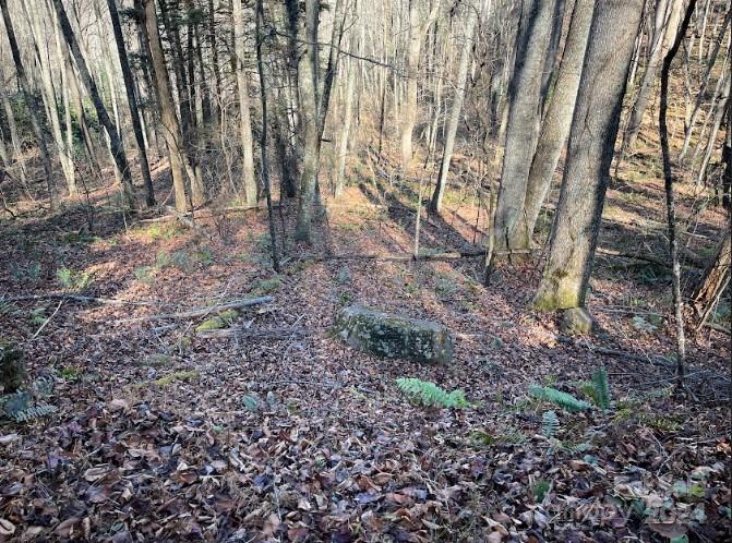 Little Pine Mtn Estates - Land