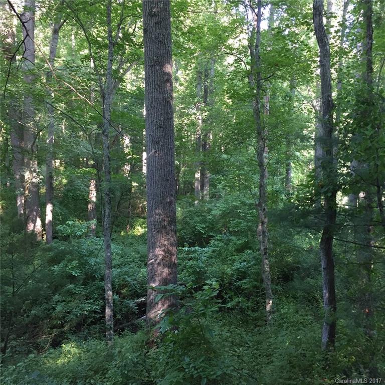 Heart Of Candler Estates - Land